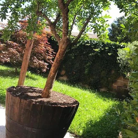 La Marchesa 게스트하우스 마글리아노 알피에리